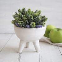 Image 1 of Quirky Tripod Planter in Modern Matte White Glaze, Ceramic Pottery Flower Pot, Made in USA - 4