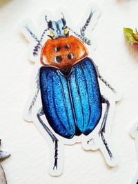 Image 4 of Carrion Beetle Vinyl Stickers 