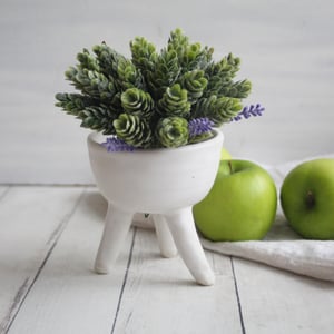 Image of Matte White Succulent Pot, Handcrafted Quirky Tripod Planter, Ceramic Pottery Made in USA - 3