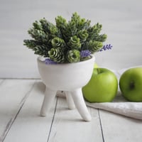 Image 5 of Matte White Succulent Pot, Handcrafted Quirky Tripod Planter, Ceramic Pottery Made in USA - 3