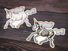 X-Ray Unicorn Vinyl Sticker