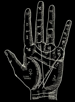 Image of Palm Shirt 