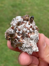 Image 7 of Smoky Quartz & Garnets On Feldspar Specimen #1907