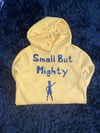 Small But Mighty Girls Hoodie 