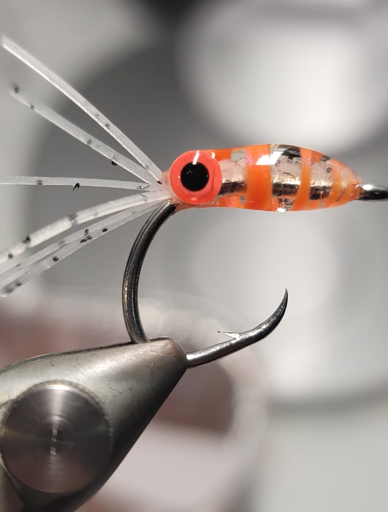 Image of Circle Hook - Orange Zebra