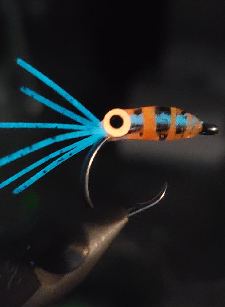 Image of Circle Hook - Orange Zebra