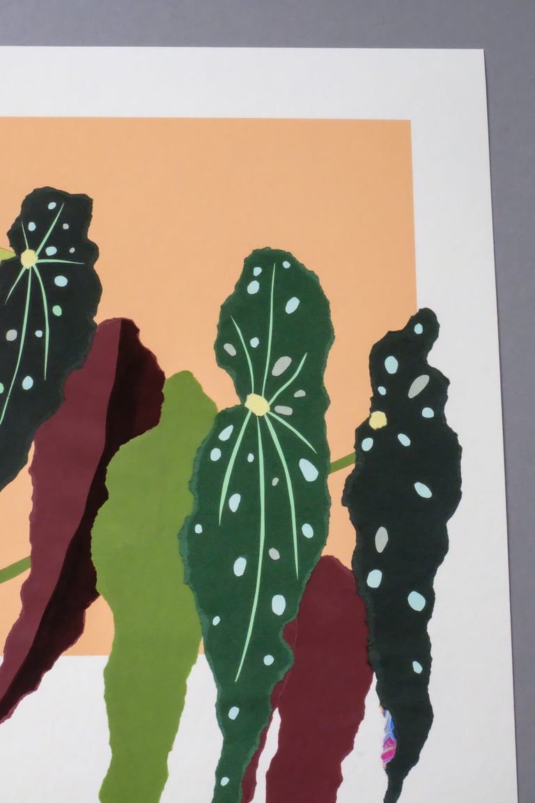 'Apricot Begonia' Giclée Print Image 3