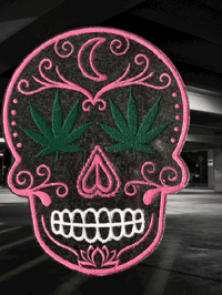 stoner sugar skull 