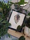 Begonia Rex - Leaf Print