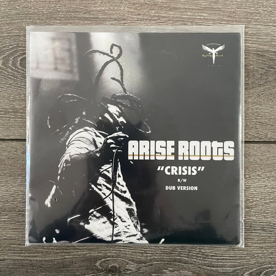 Image of Arise Roots - Crisis Vinyl 7"