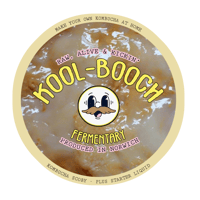 KOMBUCHA SCOBY