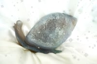 Large Druzy Agate Snail 