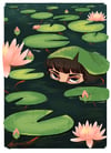 LilyPads