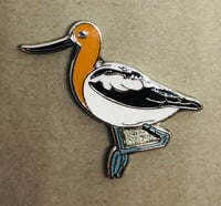 Image 2 of American Avocet - August 2020 - Bird Pin Group