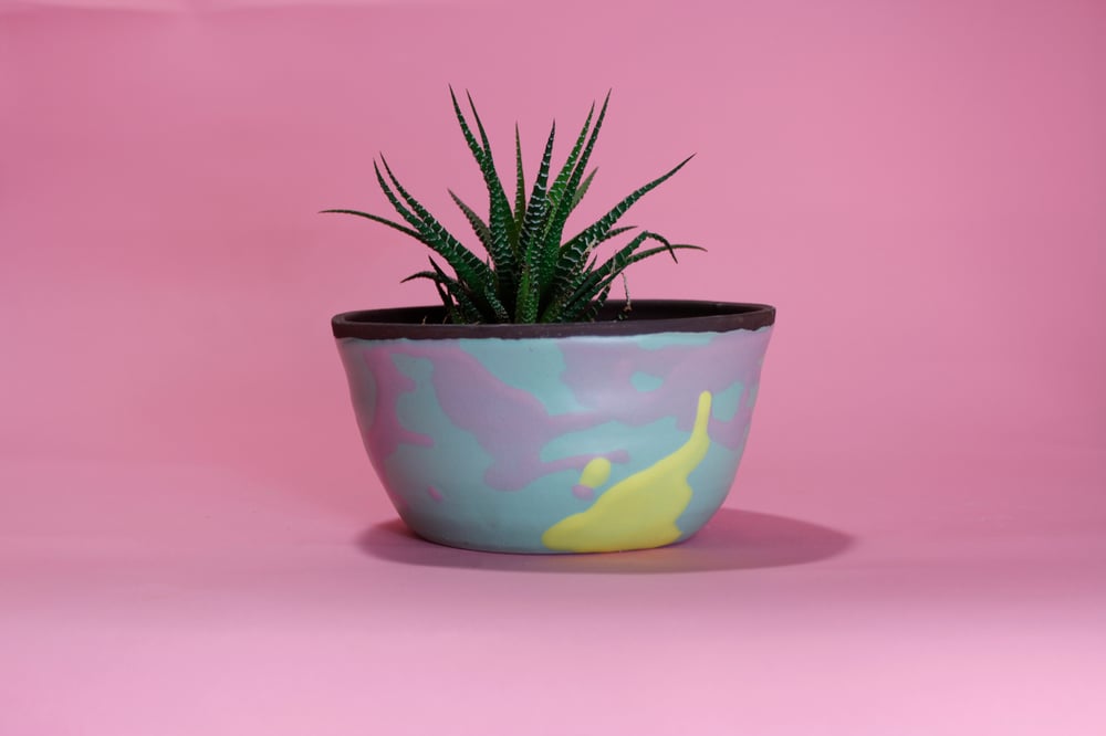 Image of Cool Ranch Flower Pot
