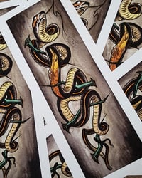 Fine Art Print "SPIJKERBIJTER"