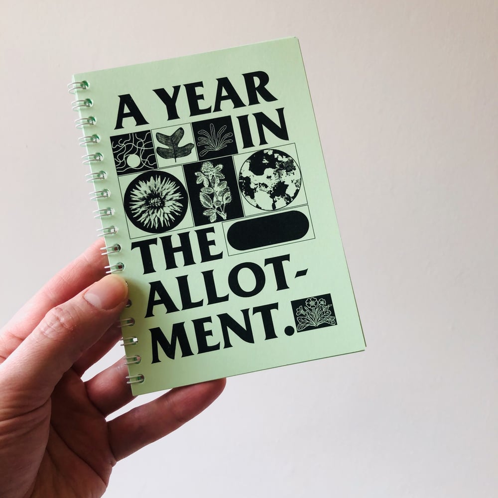 Image of A Year in the Allotment