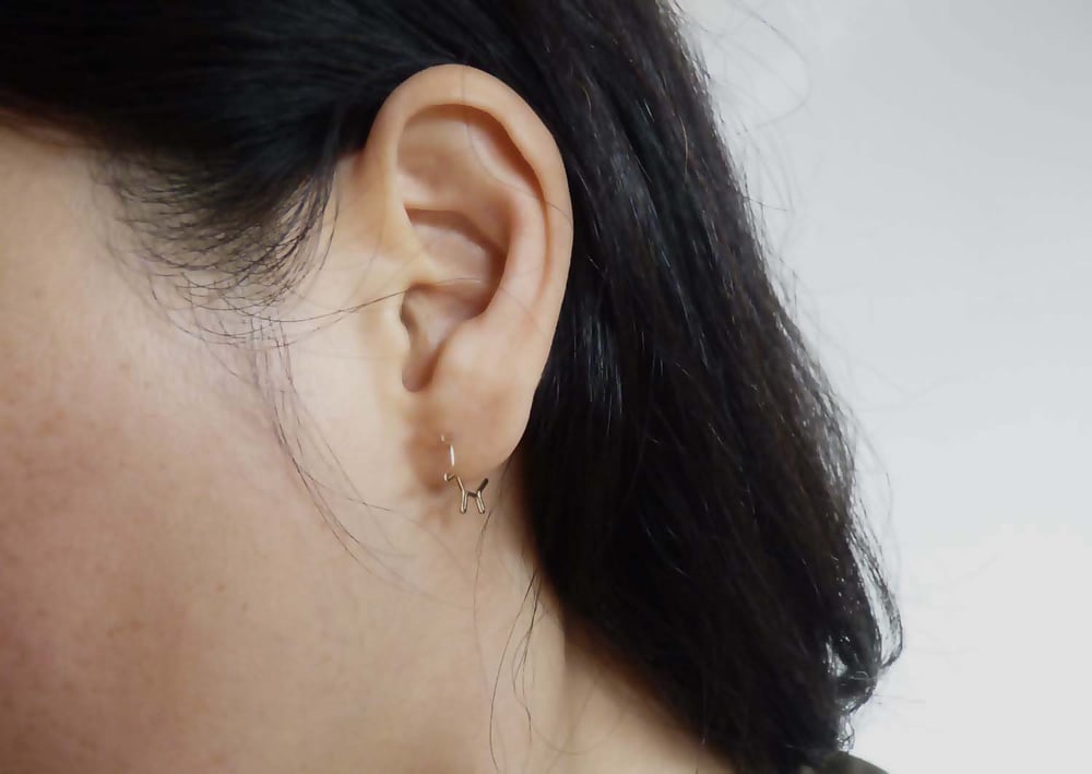 Image of Wheel earrings