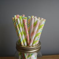 Image 1 of Spring Time Party Straws