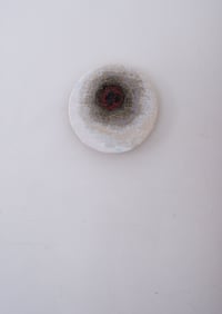 Image 1 of Target Evidence II
