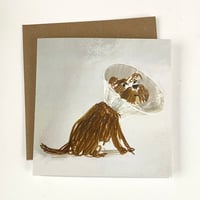 ‘Cone of Shame’ luxury greetings card