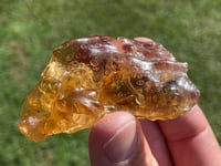Image 3 of Amber Specimen #1944