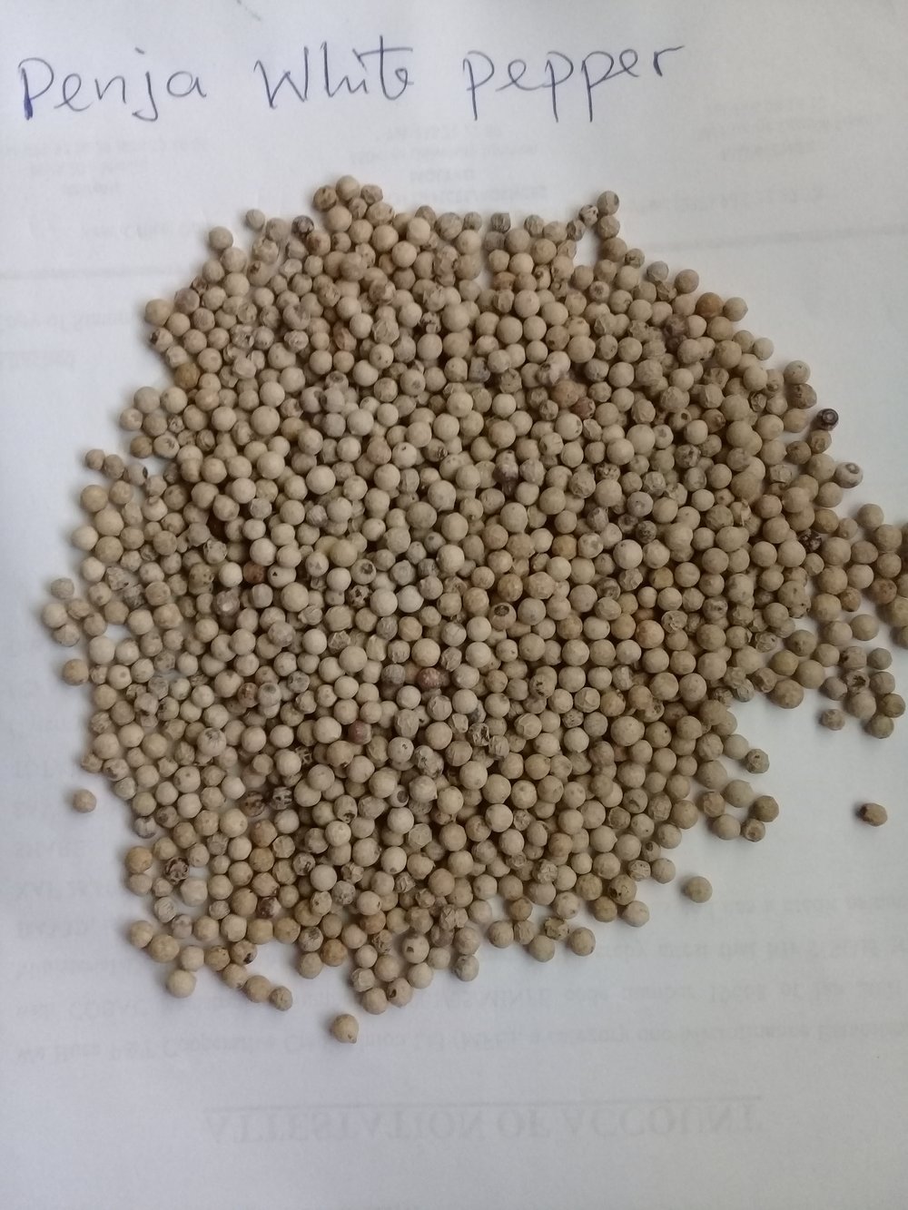 White Pepper (Penja)