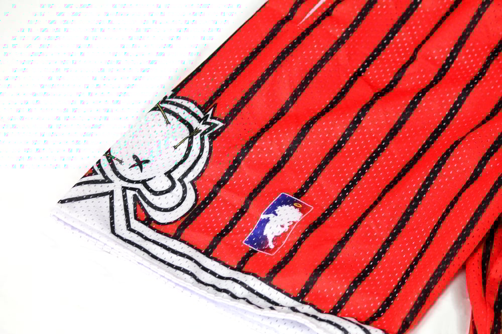 South Q Junior Varsity Shorts