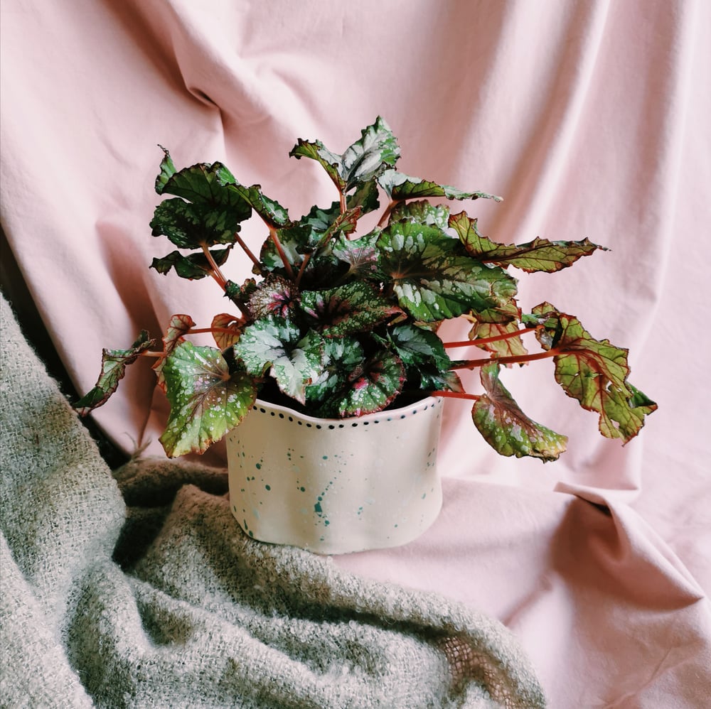 Image of Wavy Splatter Planter 