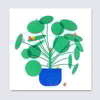 Image 1 of HOUSEPLANT