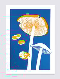 Image 1 of MUSHROOM 1