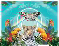 Jungle Prismatics