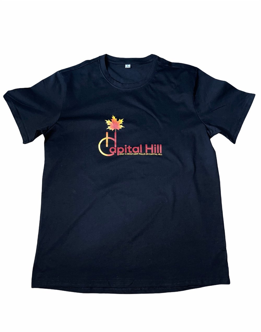 Image of Capital Hill Black original logo T-Shirt