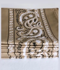 Image 1 of The Classic Paisley 