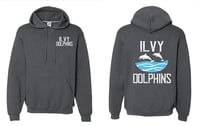 ILVY DOLPHINS Russell Athletic - Dri Power® Hooded Sweatshirt - 695HBM