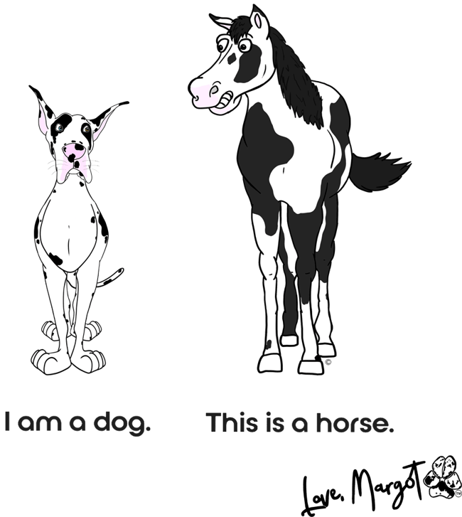 Great Dane Shirt  Great Dane vs. Horse "Dog or Horse"