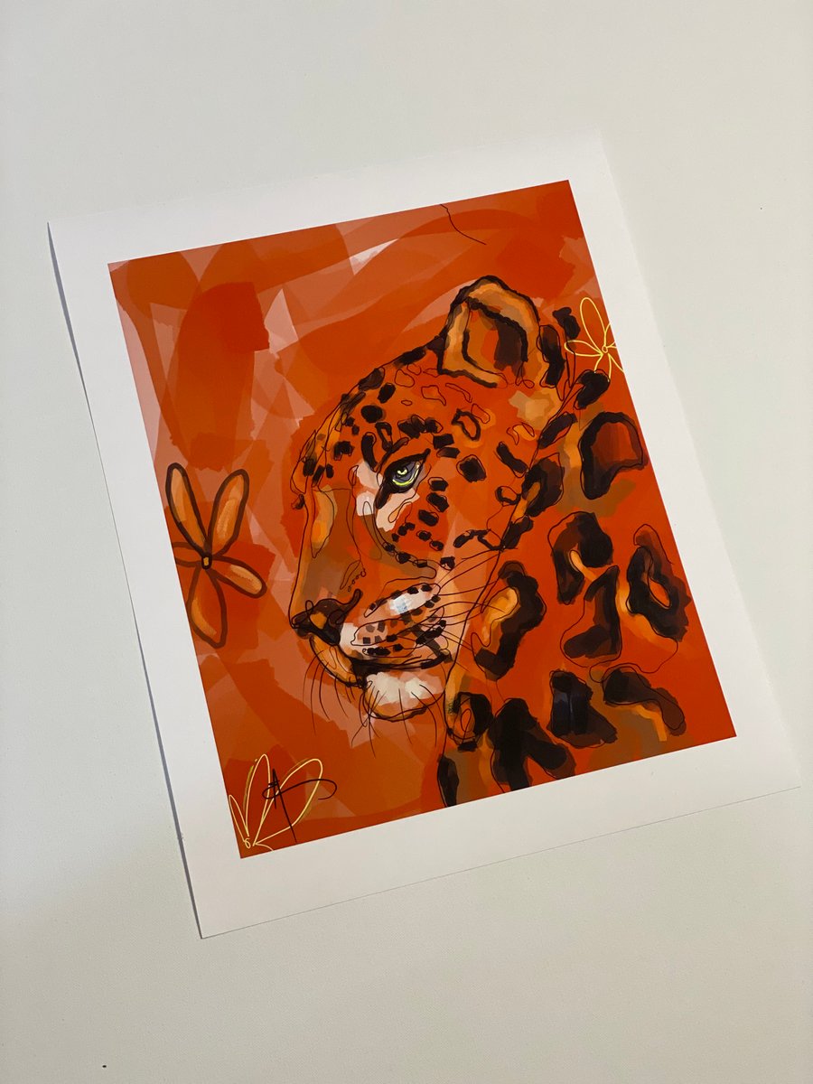 Image of Libre