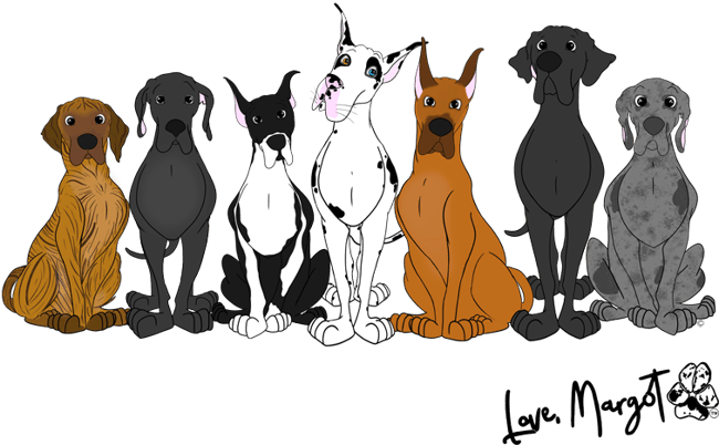 Great Dane Shirt  Great Danes in Every Color