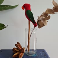 Image 3 of Native Avian 