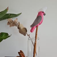 Image 2 of Native Avian 