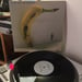 Image of I DO YOU DO KARATE :: One Last Job In Mexico LP