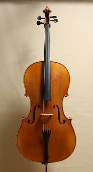 Image of 4/4 Werkstatt-Cello