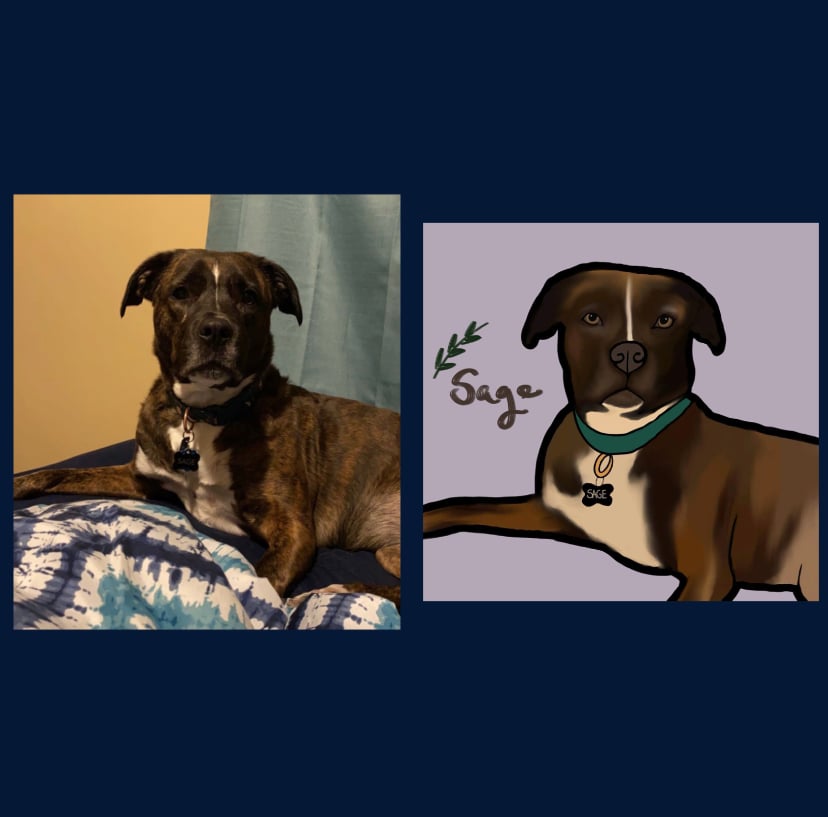 Custom Pet Portraits