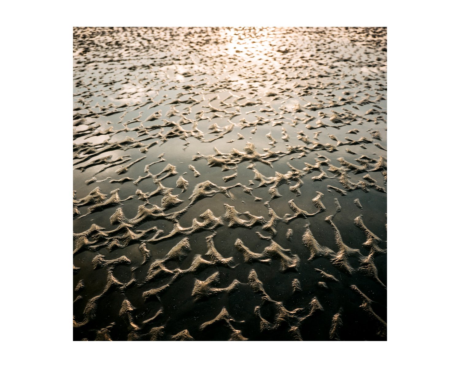 Image of Week 6 // Sagadahoc Bay