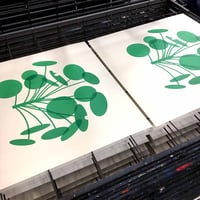 Image 4 of HOUSEPLANT