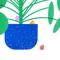 Image 2 of HOUSEPLANT