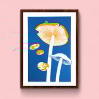 Image 4 of MUSHROOM 1