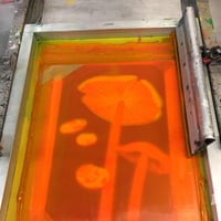 Image 2 of MUSHROOM 1