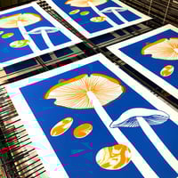 Image 3 of MUSHROOM 1