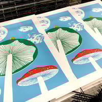 Image 4 of MUSHROOM 3